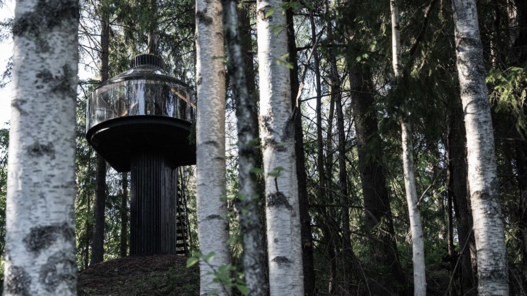Polestar Koja treehouse in the trees