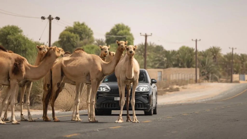 Porsche has been testing the new Cayenne Electric in extreme conditions, from hot desert sand in the Middle East to icy roads in northern Europe