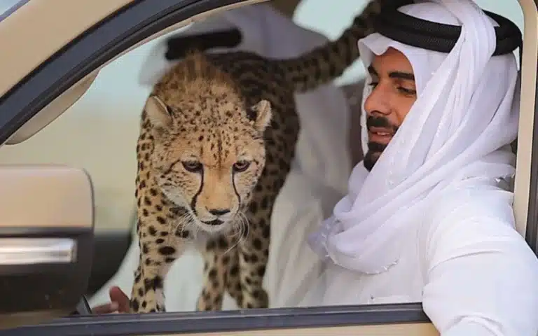 Sheikh Khalifa bin Hamad Al Thani