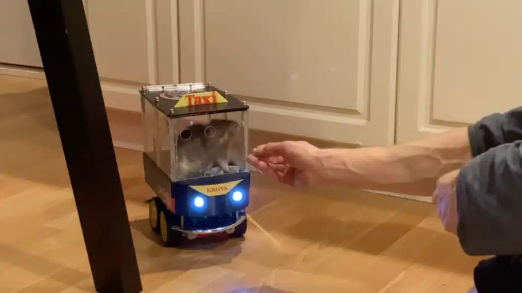 Canadian man gives his two rats an electric car and teaches them how to drive after learning it decreases their stress levels