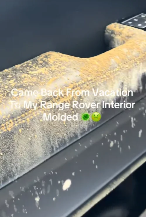 Man leaves his Range Rover unattended for a week and is left shocked by what it looks like when he returns