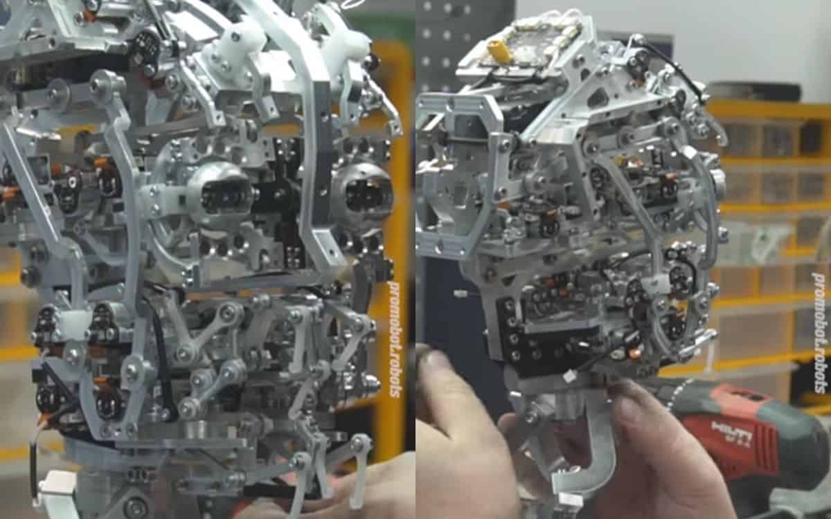 The metal skull of the Robo-C, the hyper realistic robot.