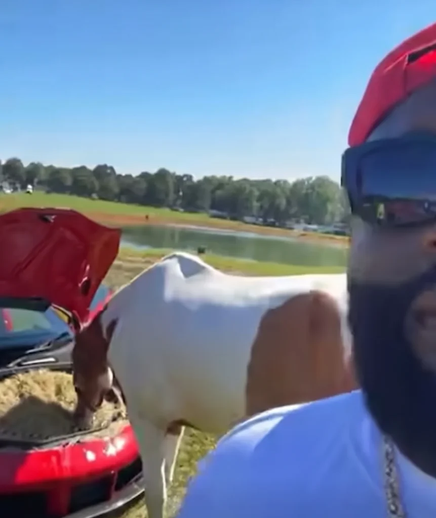 Rick Ross risks wrath of Ferrari by turning his supercar into a horse feeder