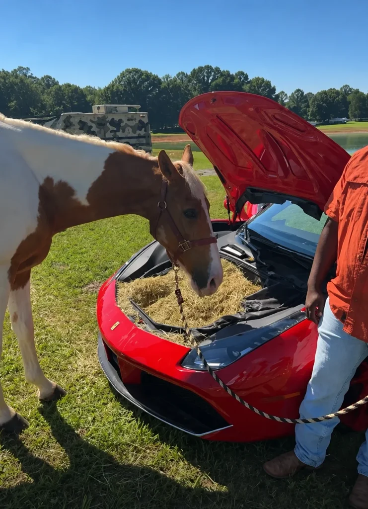 Rick Ross risks wrath of Ferrari by turning his supercar into a horse feeder