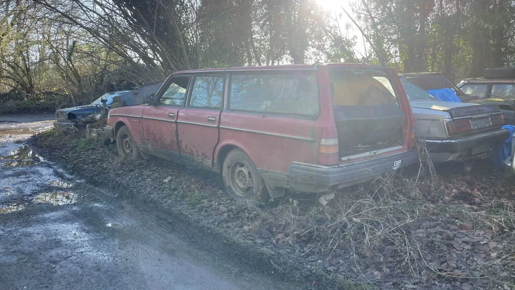 Man stumbles across a forest of retro abandoned cars and decides to look on Google Maps to see how long they've been there