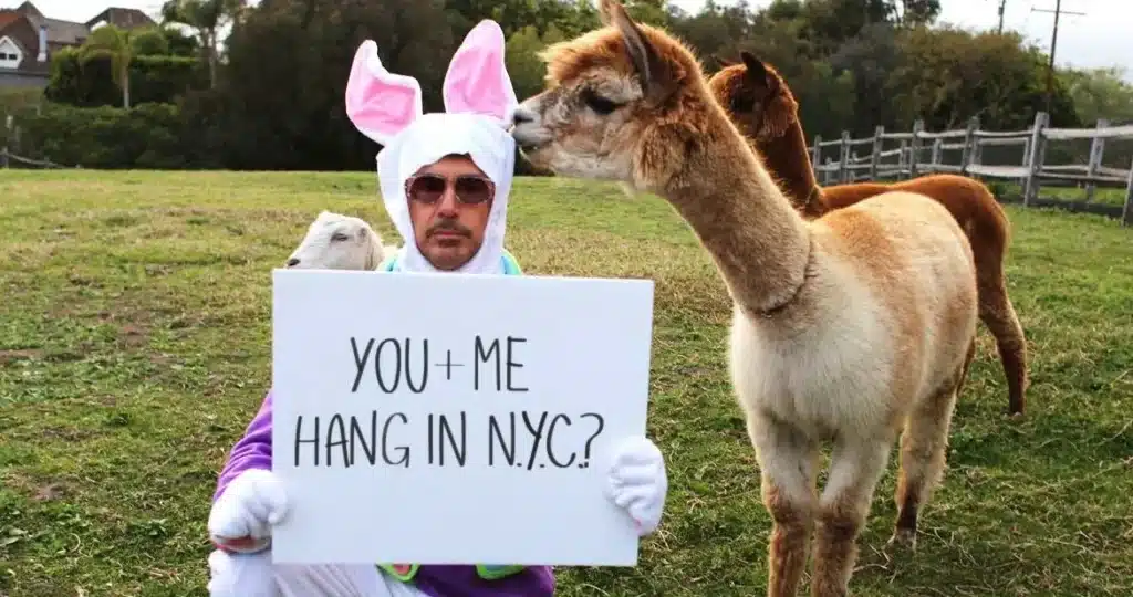 Robert Downey Jr with alpacas