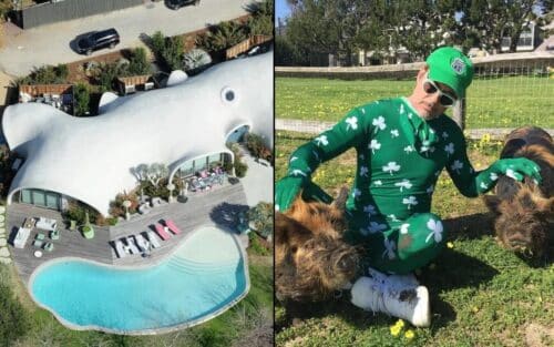 Robert Downey Jr appears to have transformed $13.4m estate into a personal zoo