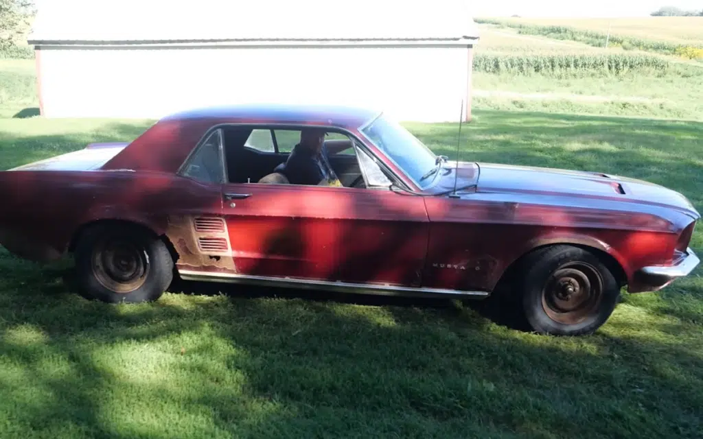 Rusty Mustang sat in shed for over 30 years does something unbelievable after being brought back to life