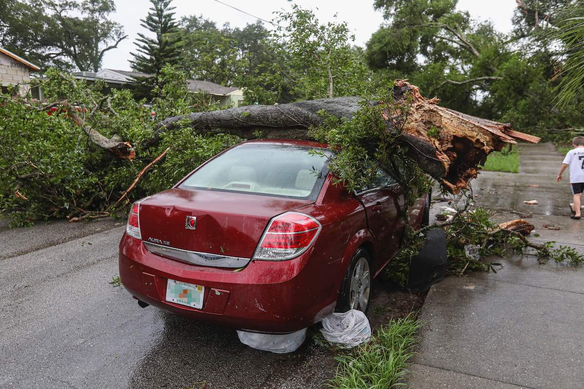 Saturn Aura damaged in storm by tree that has fallen on top of it