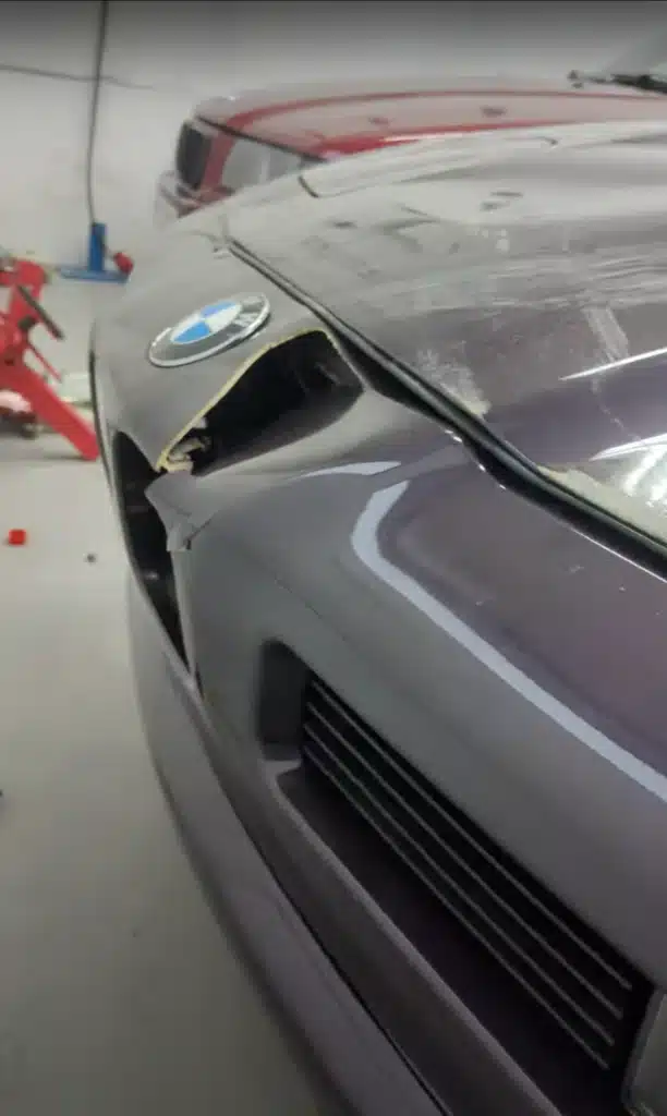 Moose breaks into BMW performance shop causing total chaos