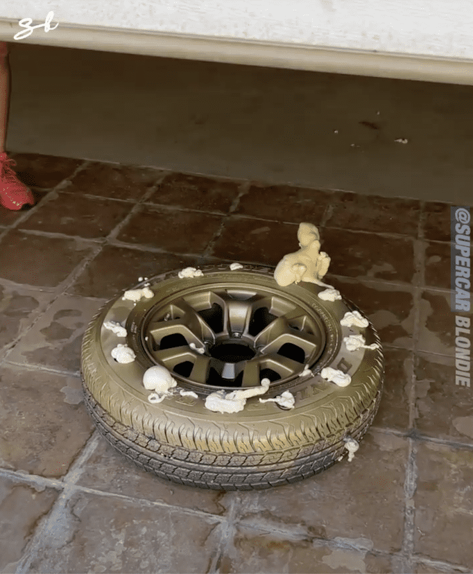 Expanding foam tire