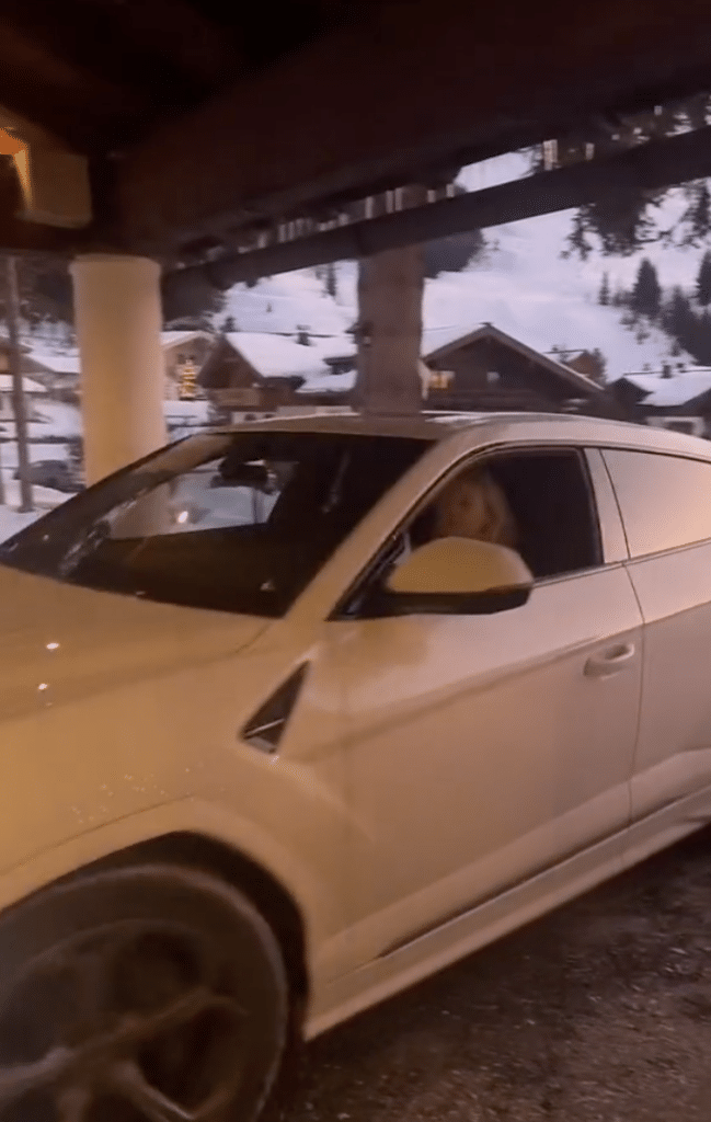 Woman orders an Uber in Austria and gets picked up by epic supercar
