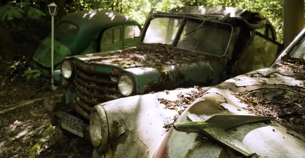Million dollar car graveyard in German forest is full of rare motors