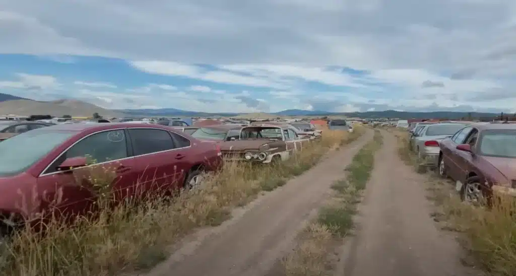 Montana's secret car graveyard is full of vintage cars, some up to a century old