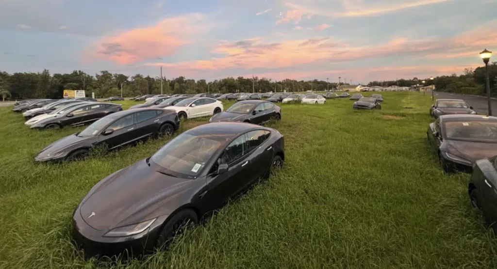 Why there is a field in Florida filled with unsold Tesla Model 3s