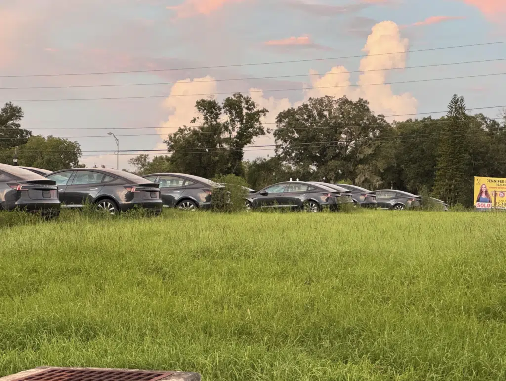 Why there is a field in Florida filled with unsold Tesla Model 3s