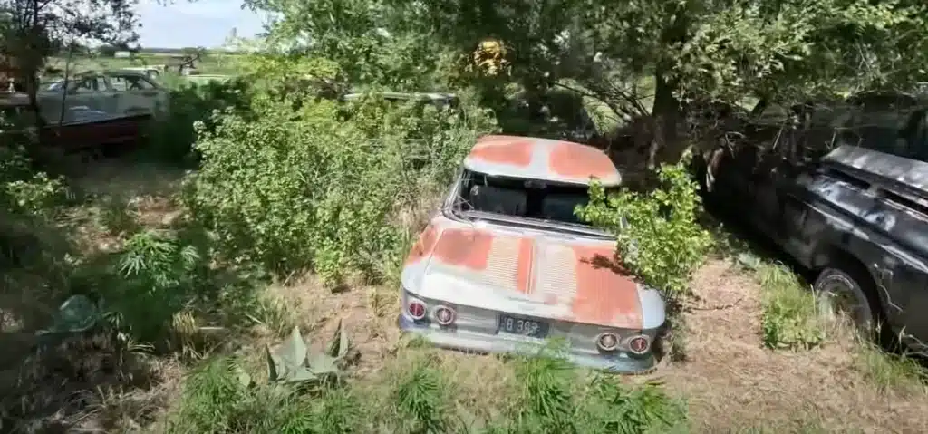 Man went to 'secret' US farm and found very rare barn finds