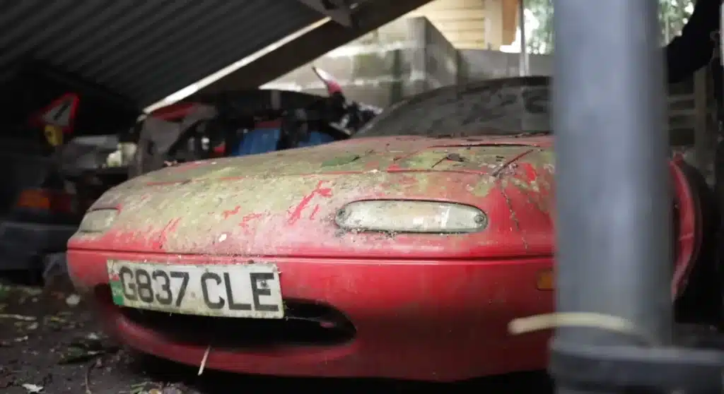 Secret garden full of abandoned and overgrown classic cars