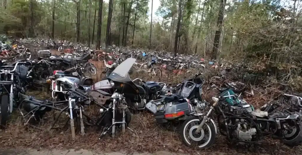 Alabama Salvage yard 'heaven' with 4K vintage motorcycles