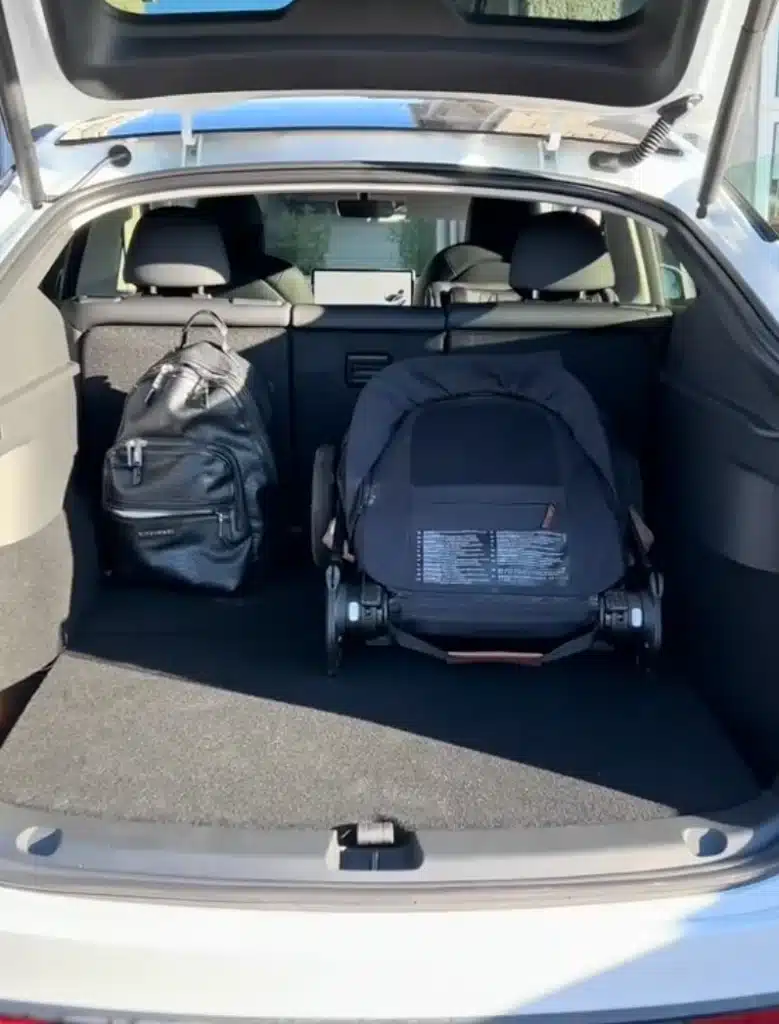 Mom rented Tesla Model Y for 24hrs and was hugely surprised at hype