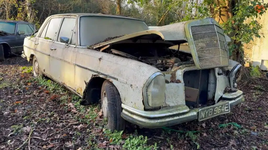 Junkyard full of Mercedes-Benz don't have a happy ending