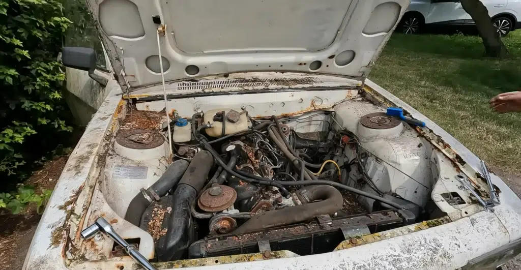 Man buys crusty abandoned Peugeot pickup found in a bush