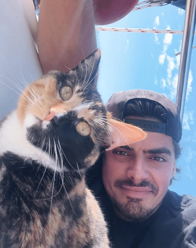 US man quits corporate job to sail around the world with his cat, with no sailing experience