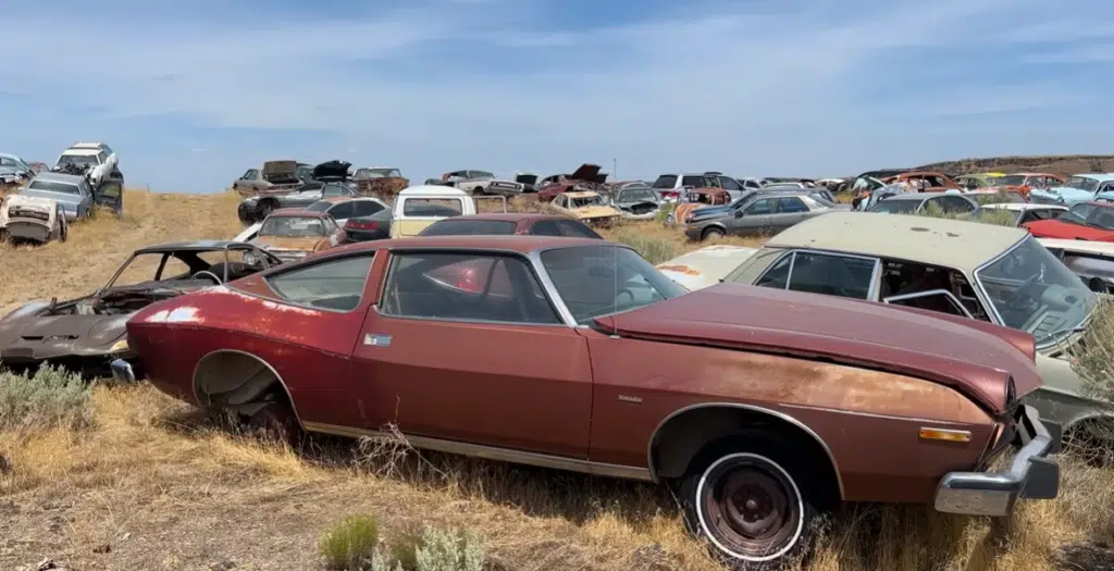 Man in Idaho finds acres upon acres of abandoned cars, the US' largest junkyard
