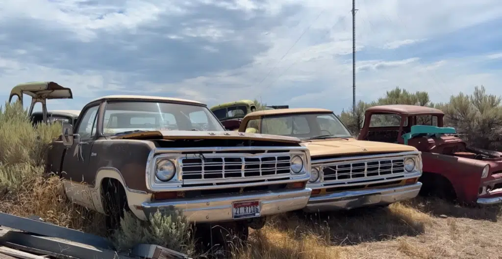 Man in Idaho finds acres upon acres of abandoned cars, the US' largest junkyard