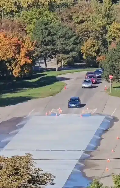 The truth has been explained behind Scandinavian driving test video that went viral and shocked people
