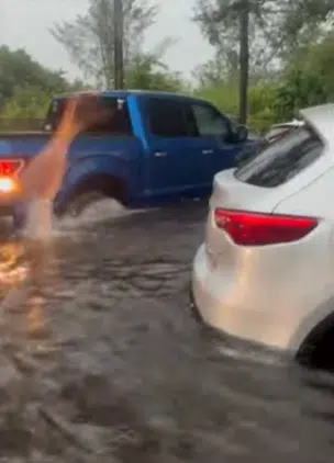 This is what happens to all the flood-damaged cars in Florida