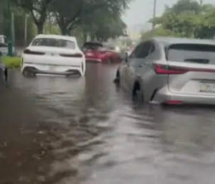 This is what happens to all the flood-damaged cars in Florida