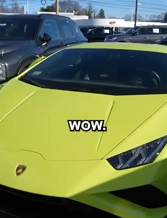 Plumber arrives at New Jersey dealership with a Lamborghini Huracán Evo Coupe, leaves in an Aventador Roadster