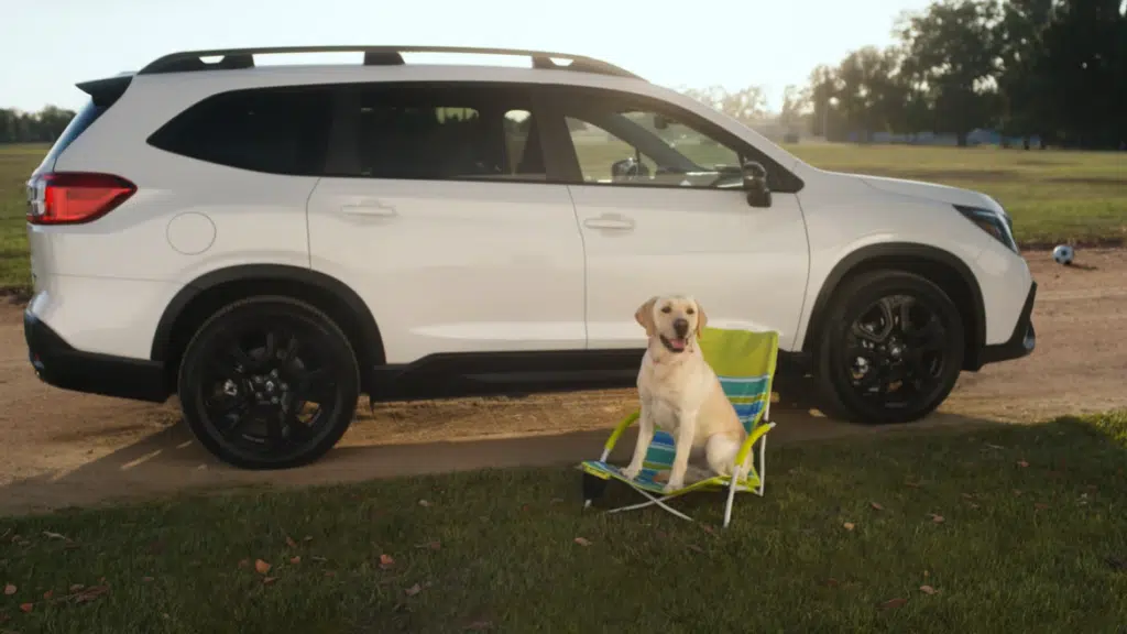 Subaru dog advertisements are paws-itively driving sales and stealing hearts everywhere