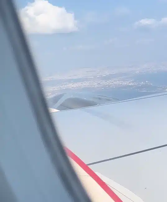 A frequent flyer who has been on ‘hundreds of flights’ was left baffled after spotting steam outside the plane window mid-flight