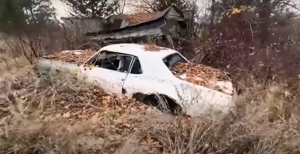A lottery winner's hidden gems have created a classic car graveyard in the middle of nowhere after 30 years