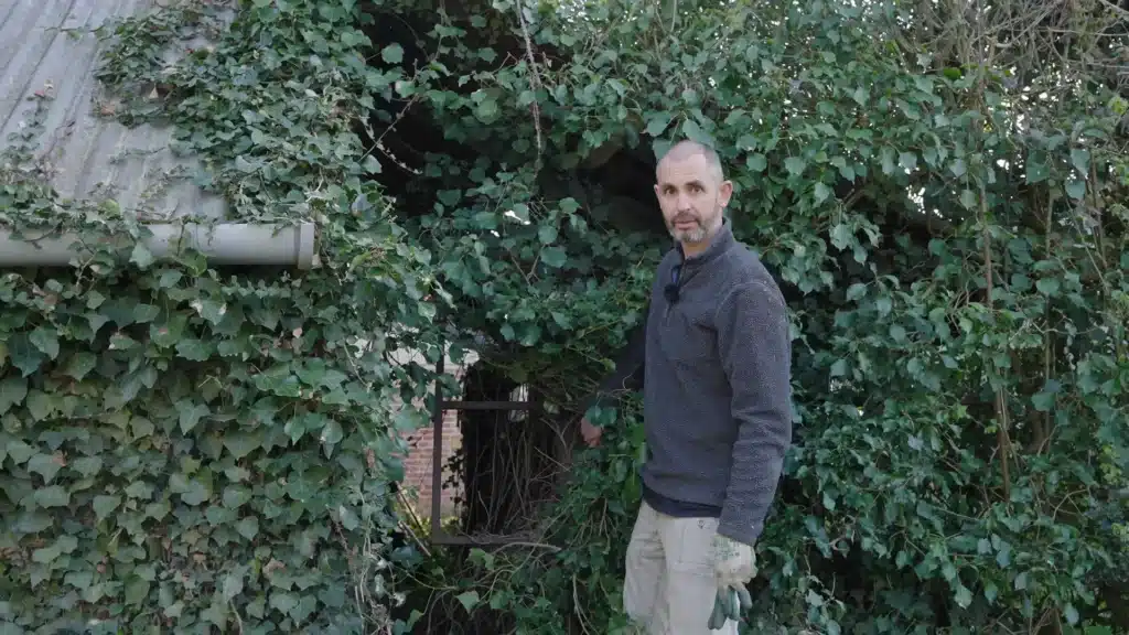 YouTuber discovers a mystery car from decades ago that's hidden in his neighbor's hedge