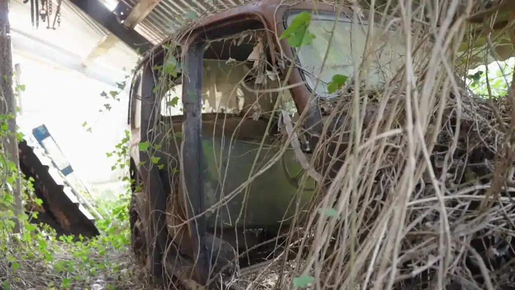 YouTuber discovers a mystery car from decades ago that's hidden in his neighbor's hedge