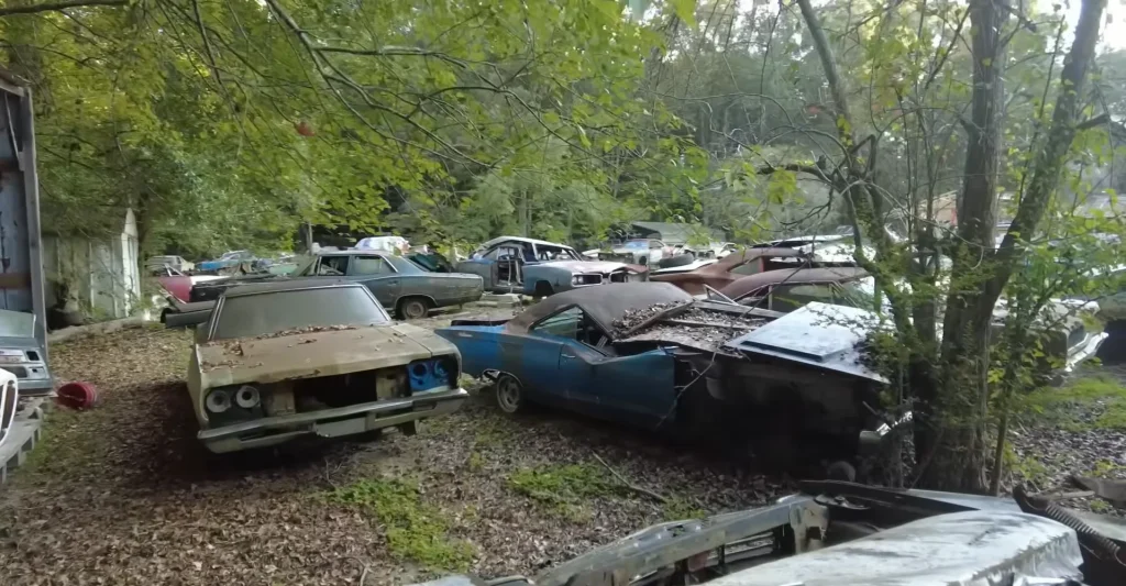 Inside a secret Michigan Mopar yard filled with Super Bees Road Runners and GTXs