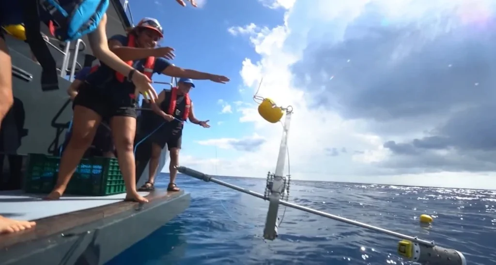 Jeff Bezos recently navigated his superyacht to Costa Rica to provide funding for marine conservation and the protection of endangered sharks via his Earth Fund