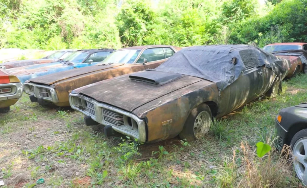 A Houston widow recently discovered a massive barn find in Houston that features over 70 classic cars and rare Mopar cars hidden away on a private rural property