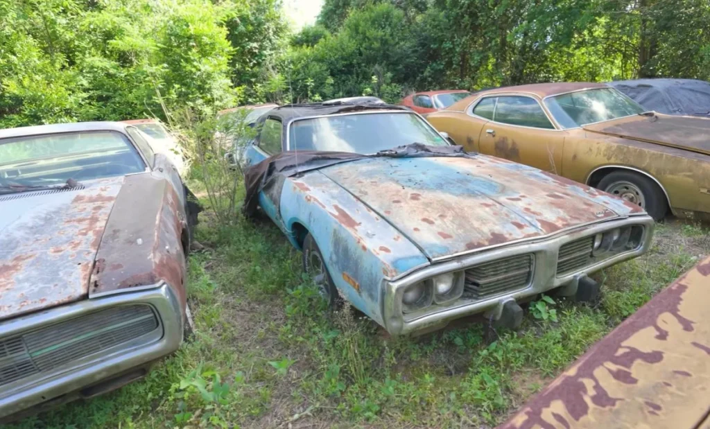 A Houston widow recently discovered a massive barn find in Houston that features over 70 classic cars and rare Mopar cars hidden away on a private rural property