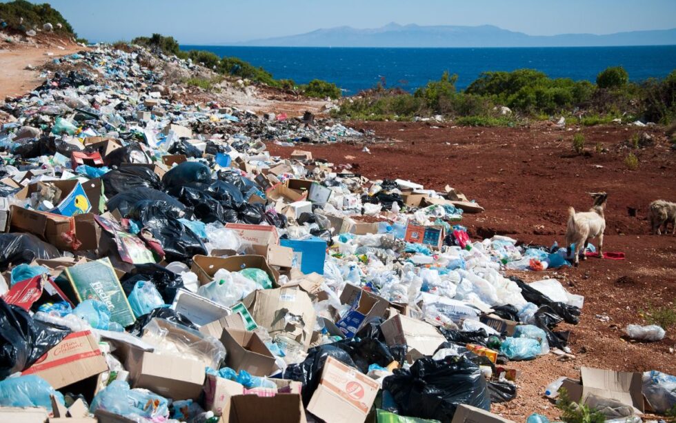 Man Hires Robot Dogs To Search Landfill For Hard Drive With 180m In