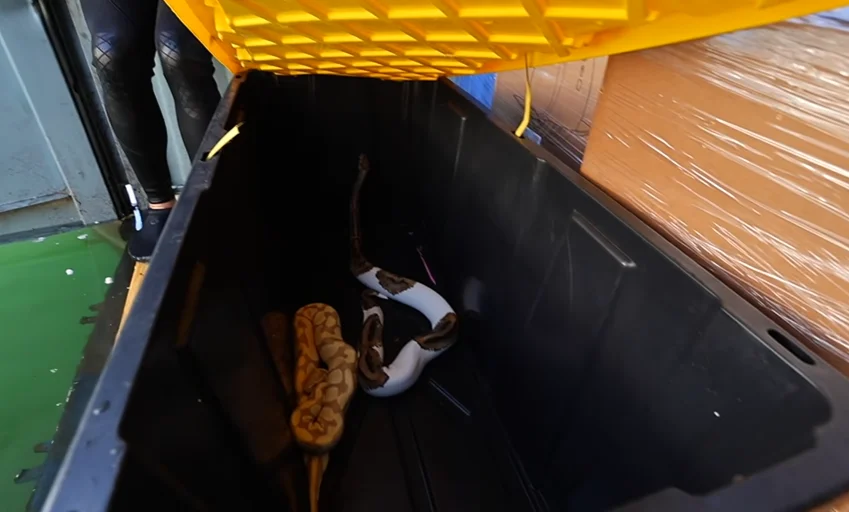 California man buys abandoned shipping container that was lost at sea for $20,000 and find a high-end vehicle inside that makes it all worth it
