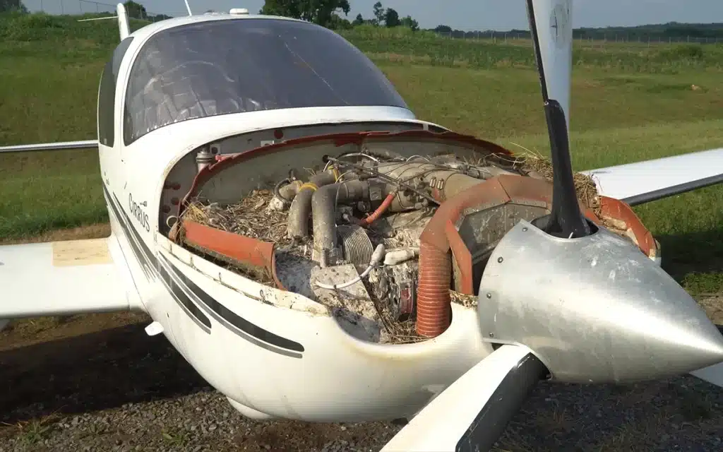 Guys pick up abandoned $500K plane from Michigan sight unseen for restoration and worry it's been a 'horrible mistake'