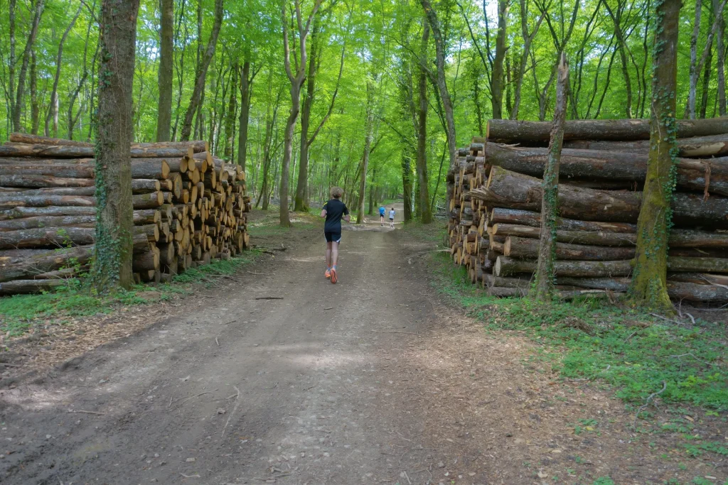 Scientists figured out how to use solar energy even in darkness and it ...