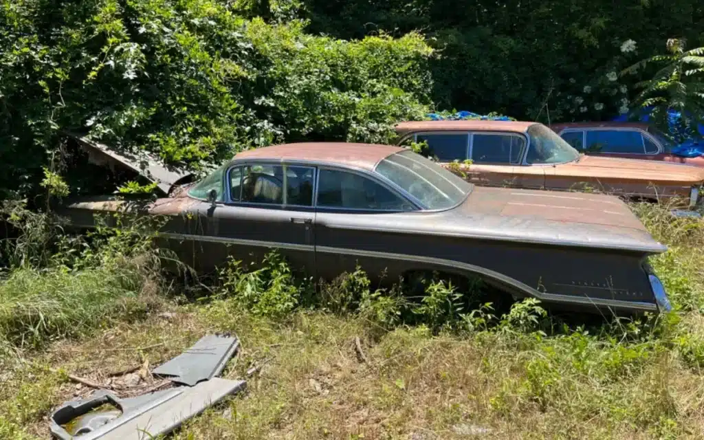 Someone found a rare 1960 Olds 98 parked in a bush then put it on eBay