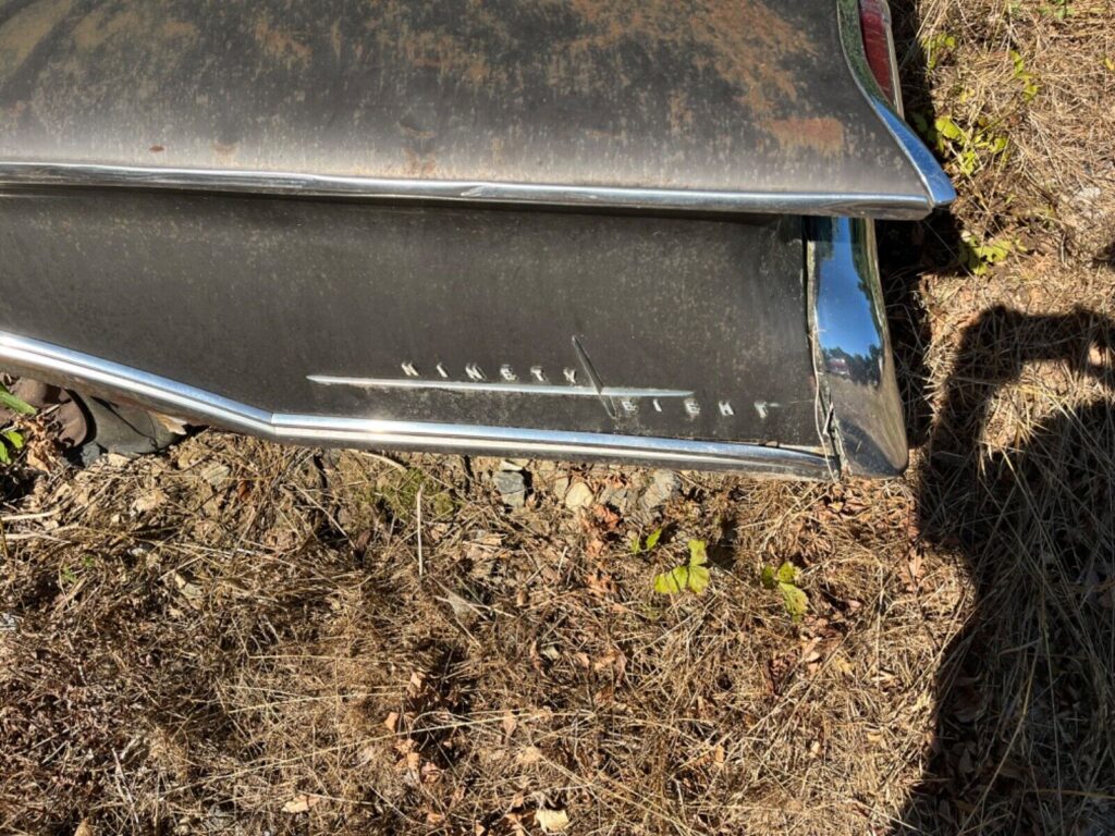 Someone found a rare 1960 Olds 98 parked in a bush then put it on eBay