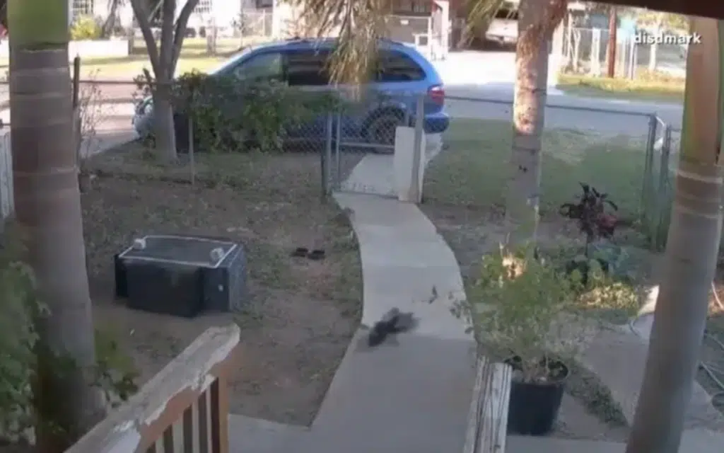 Camera footage from a doorbell camera shows the moment that the sonic boom, created as a meteor crashed into Texas, swept through the state