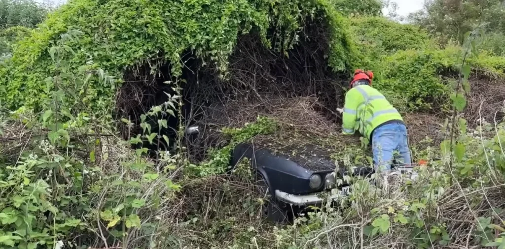 UK couple cuts back overgrown hedge and uncovers a rare, world-first sports car